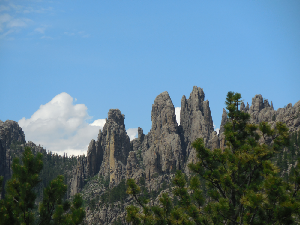 Rock formations called needles. To get to Crazy Horse we had to go through some very narrow tunnels. One was called eye of the needle.