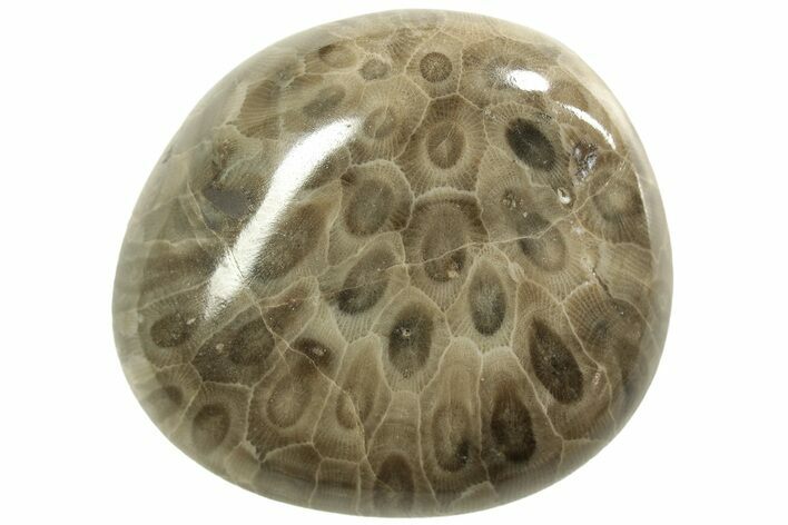 A Petroskey stone