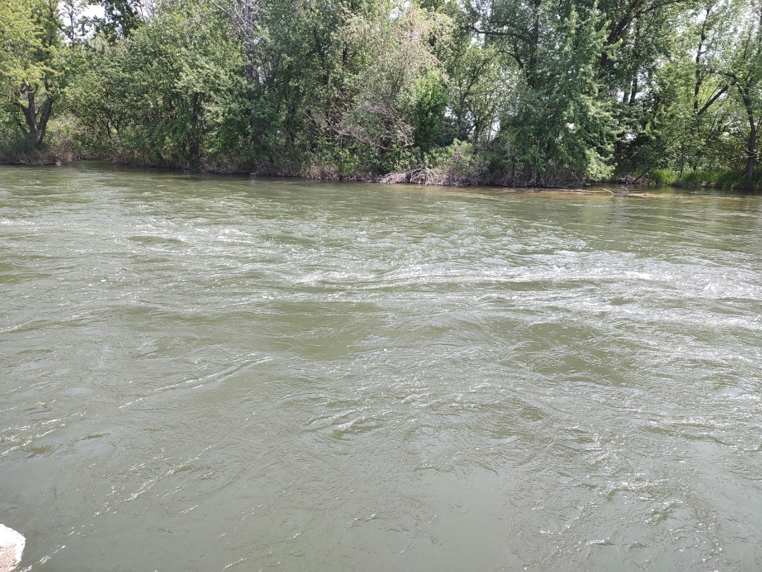 River-See how high it is