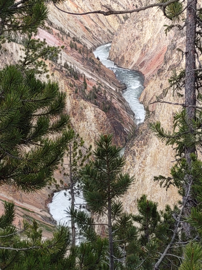 Looking Down the Canyon.