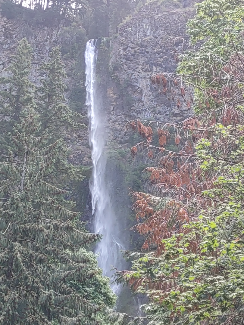 The upper part as seen from the bridge