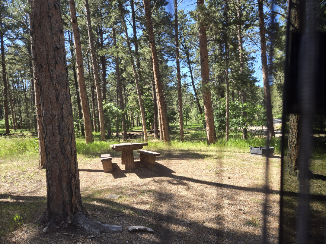 Yet naother view of our campsite